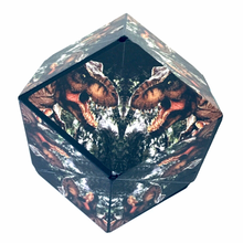 Load image into Gallery viewer, Changeable Magnetic Magic Cube MC-10