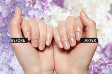 Load image into Gallery viewer, White Rose (N4) - Nano Cure Nails