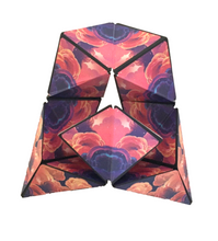 Load image into Gallery viewer, Changeable Magnetic Magic Cube MC-12
